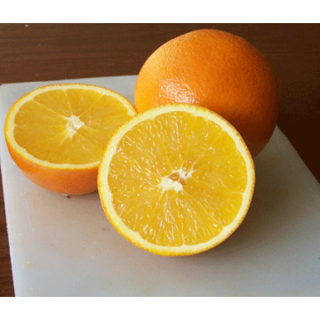 New Crop Delicious Navel Orange (56-64-72 / 15kg Karton)